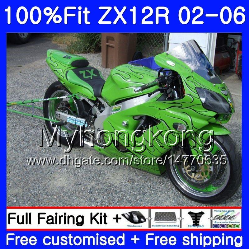 Zx12r Paint Code Location